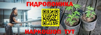 тгк Краснодар