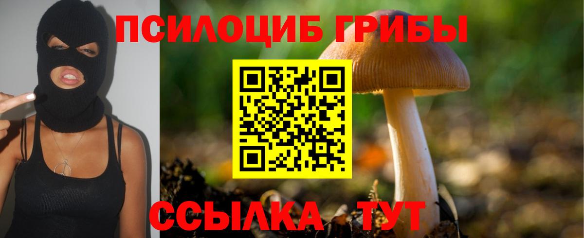 Псилоцибиновые грибы мицелий  Вход с VPN  Кольчугино 