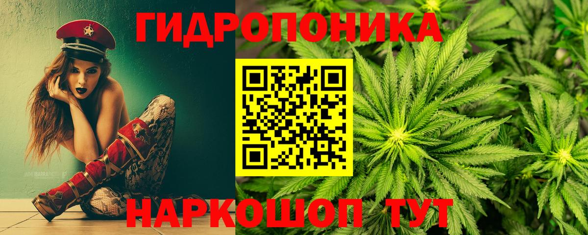 Марихуана марихуана Кольчугино